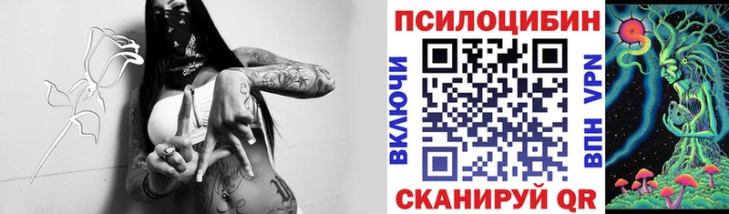 Галлюциногенные грибы мухоморы  кракен ССЫЛКА  Орск 